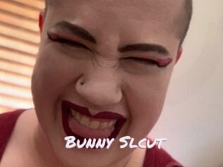 Bunny_Slcut