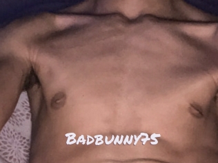 Badbunny75