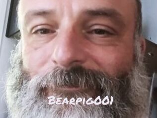 Bearpig001