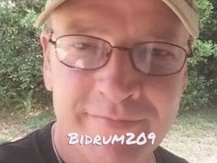 Bidrum209