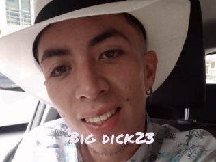 Big_dick23