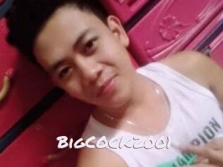 BigCOCK2001
