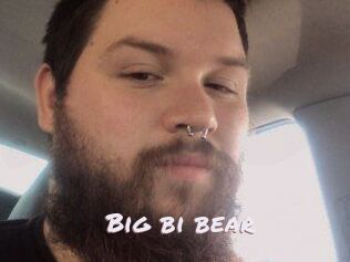 Big_bi_bear