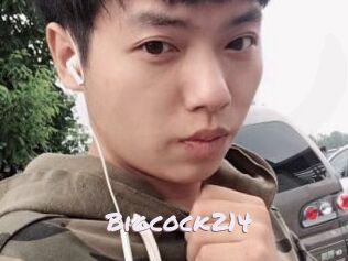 Bigcock214