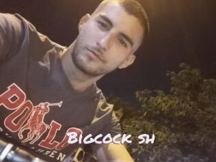 Bigcock_sh