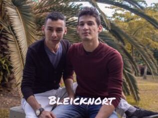 Bleicknort