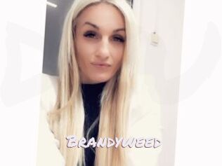 Brandyweed