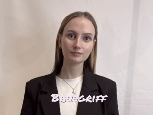 Breegriff