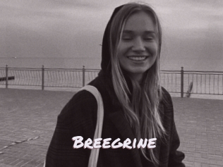 Breegrine