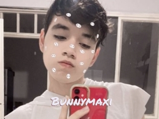 Bunnymaxi