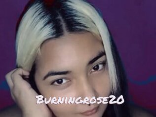 Burningrose20