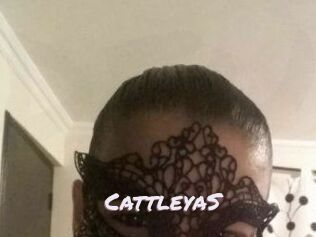 Cattleya_S