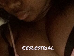 Ceslestrial