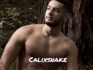 Calixsnake