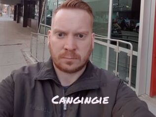 Cangingie