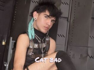 Cat_bad