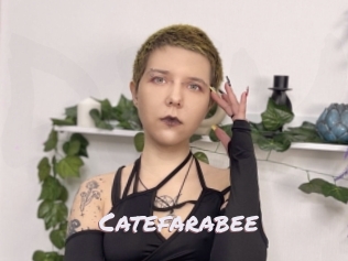 Catefarabee