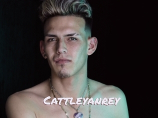 cattleyanrey Deutsche Sexcams