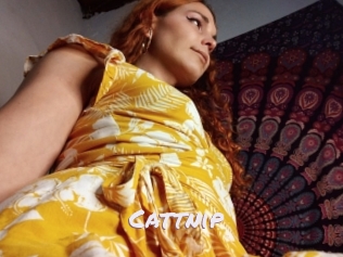 cattnip Deutsche Sexcams