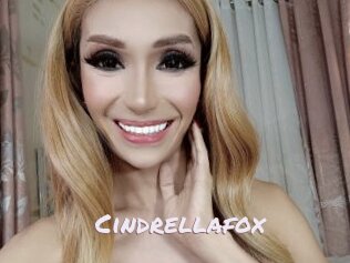 Cindrellafox