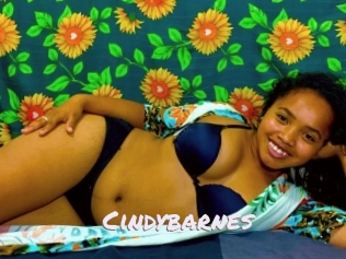 Cindybarnes