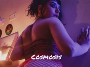 Cosmosis