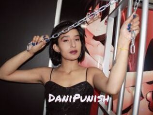 DaniPunish