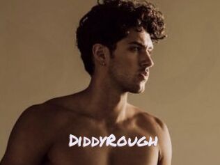 DiddyRough