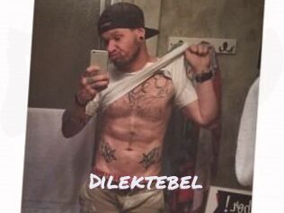 Dilektebel Deutsche Sexcams