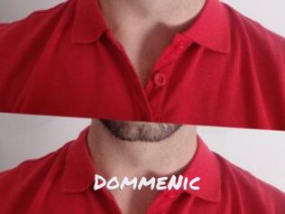 DommeNic
