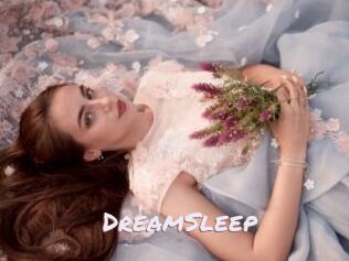 DreamSleep
