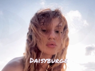 Daisyburge