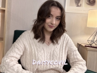 Daisycovil