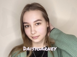 Daisygarney