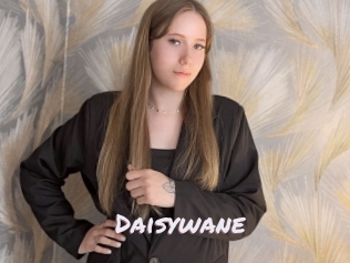 Daisywane