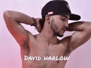 david_harlow Deutsche Sexcams