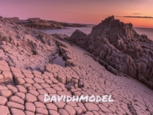 Davidhmodel