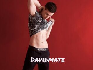 Davidmate