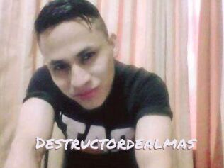 Destructordealmas