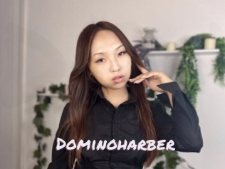 Dominoharber