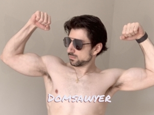 Domsawyer