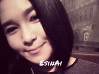 EsinAi