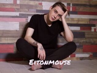 Eitonmouse