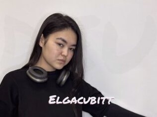 Elgacubitt