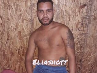 Eliashott