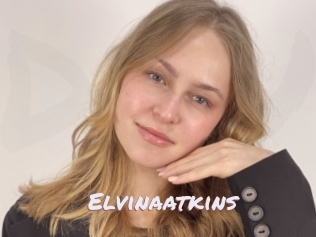 Elvinaatkins
