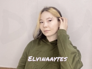 Elvinaaytes