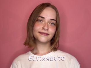 Elvinabute