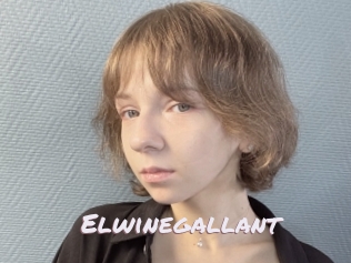 Elwinegallant
