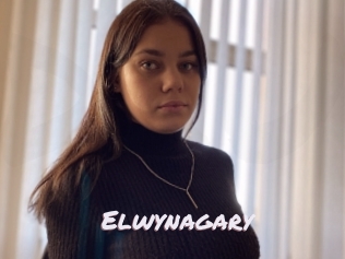 Elwynagary